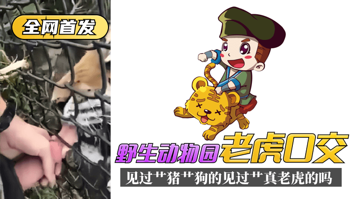 国产电影一级无码,久久伊人一区二区三区av